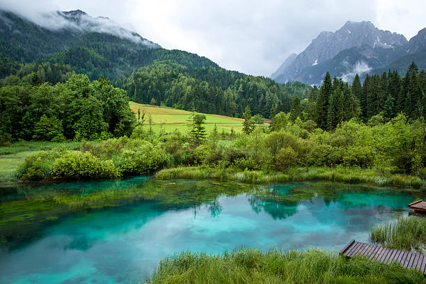 istock Zelenci pond in Slovenia 498141142