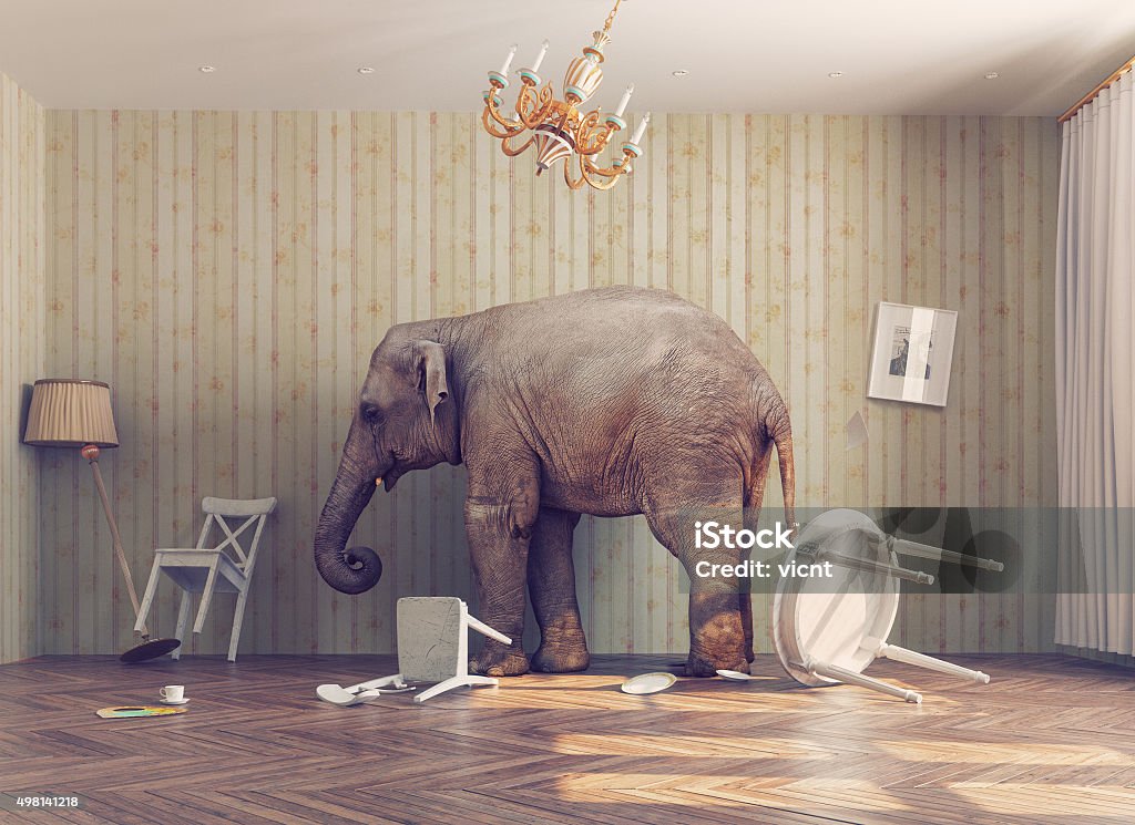 elephant in a room elephant calm in a room. photo combination concept Elephant Stock Photo