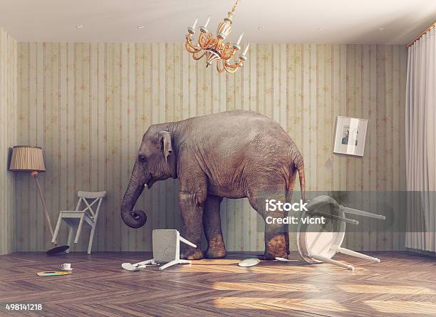 Elephant In A Room Stock Photo - Download Image Now - Elephant, Domestic Room, Small