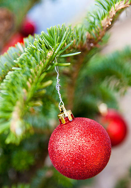 istock Christmas ball on a spruce branch 498145806