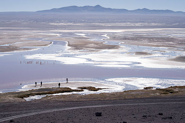 istock Exploring the Altiplano, Bolivia 498146430