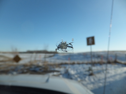 Chipped Windshield