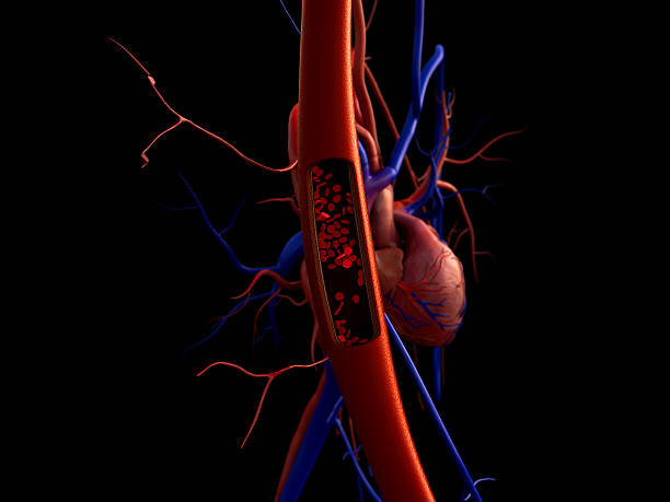 blood vessels artery shown with a cut out section, High quality rendering with original textures and global illumination, Contraction of blood vessels on a heart background Human Blood Vessel stock pictures, royalty-free photos & images