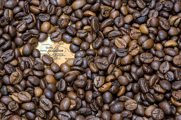 istock Map of Ecuador under a background of coffee beans 498150790