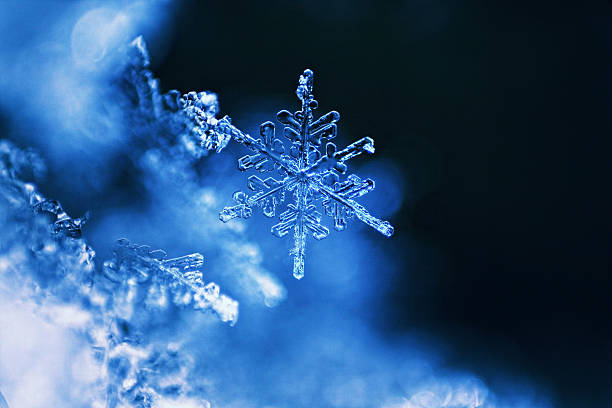 istock Real snowflake macro - ultra shallow depht of field 498151566