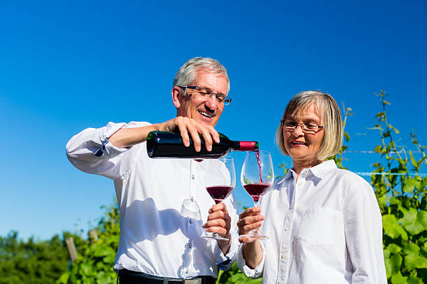 istock Senior woman and man drinking wine in vineyard 498151728