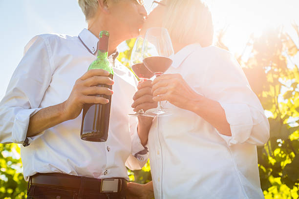 istock Senior couple toasting with wine glasses in vineyard 498151782
