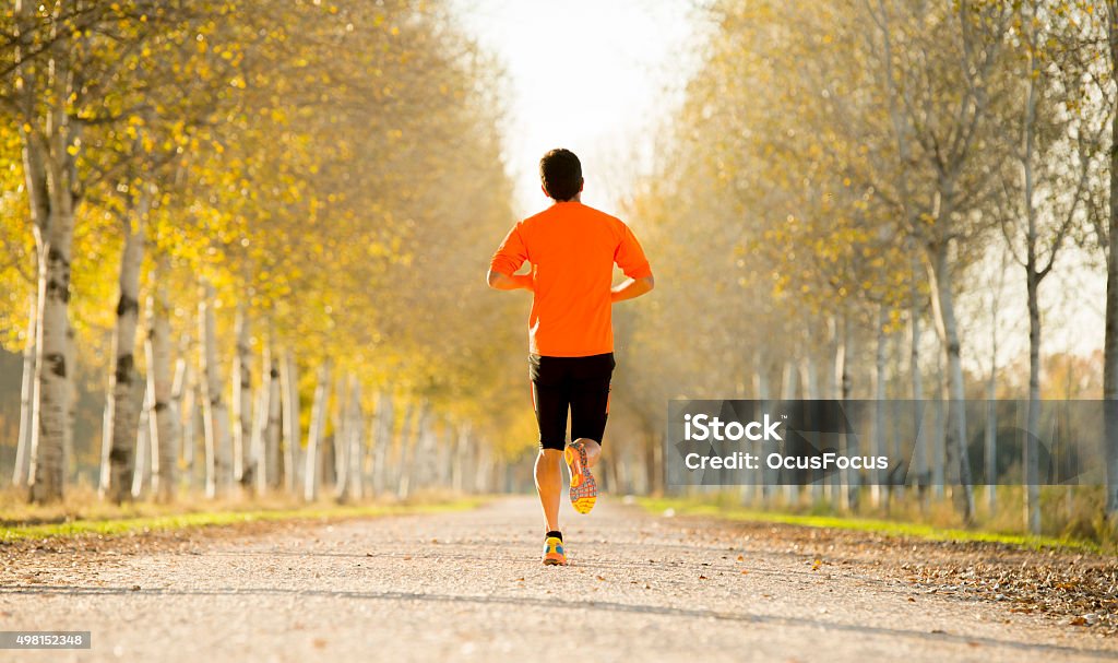 sport Mann läuft auf Straße Bäume im Sonnenlicht schönen Herbst - Lizenzfrei 2015 Stock-Foto