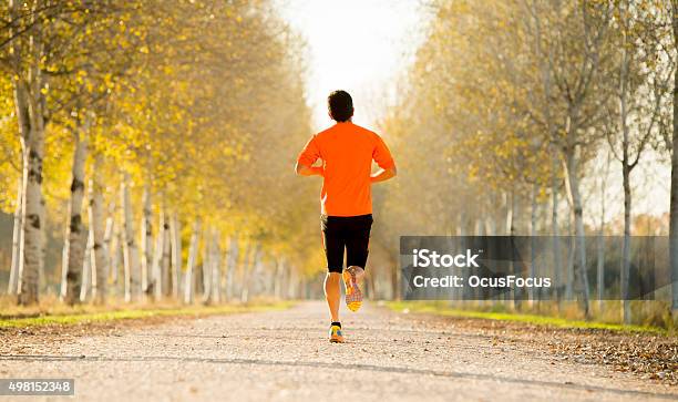 Sport Mann Läuft Auf Straße Bäume Im Sonnenlicht Schönen Herbst Stockfoto und mehr Bilder von 2015
