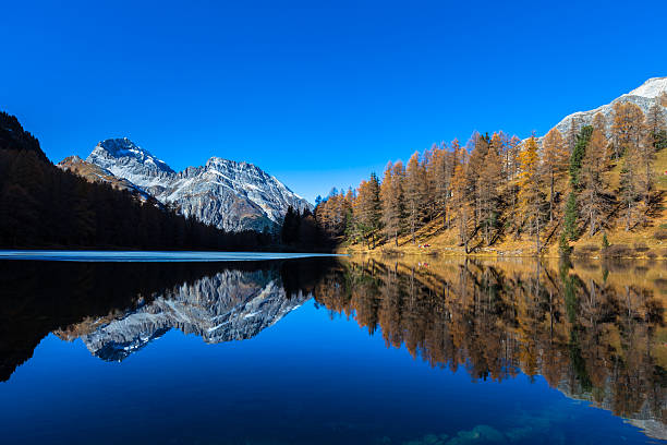 istock Lake Palpuogna and Piz Ela 498152980