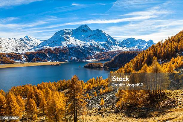 Stunning View Of Sils Lake And Piz Da La Margna Stock Photo - Download Image Now - Graubunden Canton, Engadine, Hiking