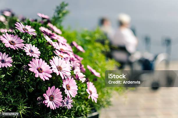 I Fiori Viola E Coppia Senior Appoggiato Su Una Panca - Fotografie stock e altre immagini di Ambientazione esterna