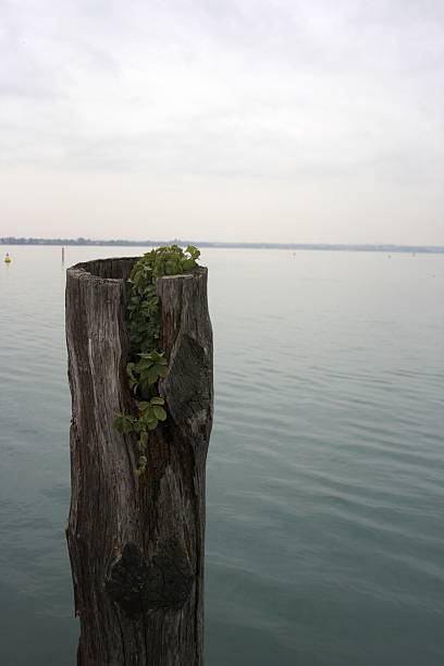 istock Italy - Post in the water 498170059