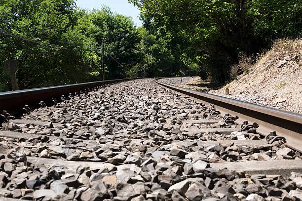 istock Railroad in the forest close up 498170689