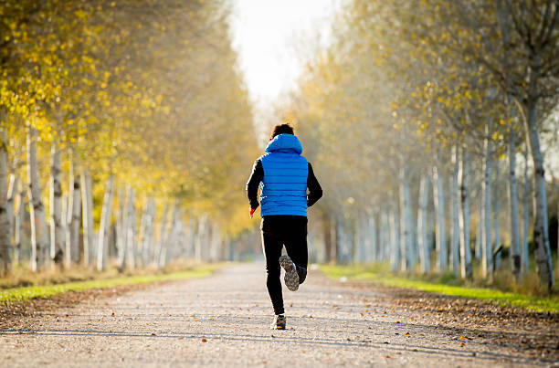 sport man running trail ground with trees under Autumn sunlight back view young sport man running outdoors in off road trees trail track under  Autumn sunlight wearing jogging vest and beamy in fitness, countryside training and healthy lifestyle concept running jogging men human leg stock pictures, royalty-free photos & images