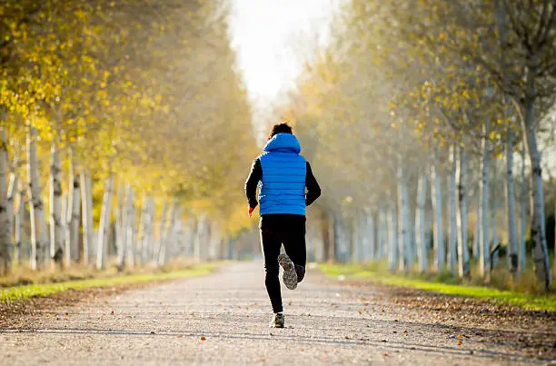 Photo of sport man running trail ground with trees under Autumn sunlight