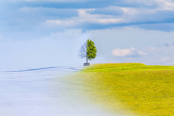 istock Climate change from winter to summer time over the year 498171282