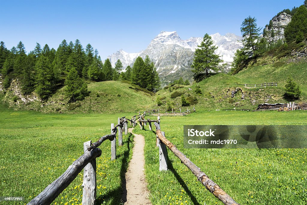Alpe Devero near the village of Crampiolo Devero Alp near the village of Crampiolo, Piedmont - Italy Summer Stock Photo