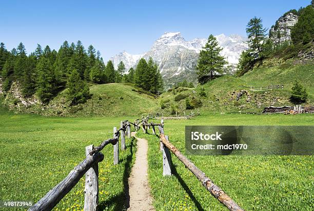 Alpe Devero Near The Village Of Crampiolo Stock Photo - Download Image Now - Summer, Fence, Horizontal