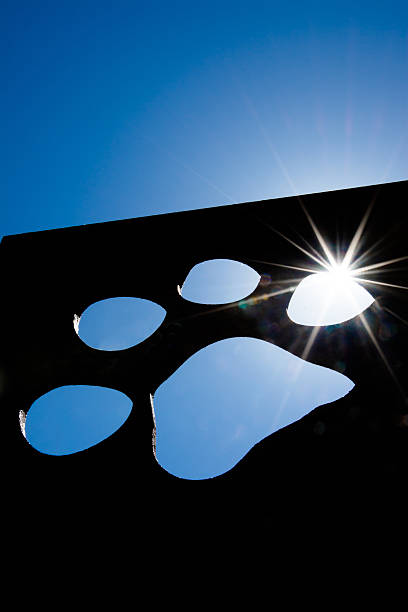 Silhouette of a cat paw with bright sunlight