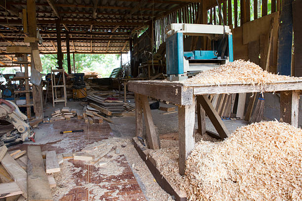 дерево промышленности - sawdust shavings wood chip pine стоковые фото и изображения