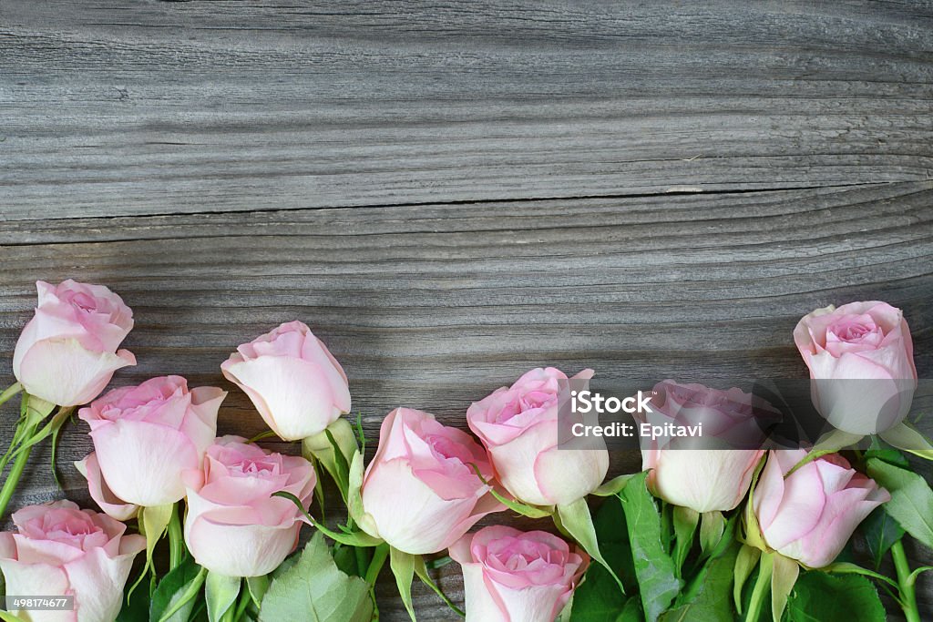 Pink roses Vertical border of pink roses on a old gray boards Arrangement Stock Photo