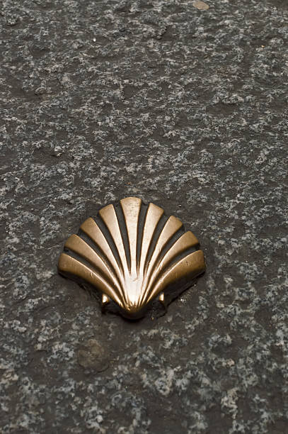 istock Santiago Route Pilmgrim Shell on the road 498175239