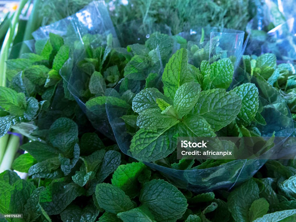 Fresh cut-mint diplay ata market A display of crisp, aromatic, fresh-cut mint at the fresh produce market, wrapped in clear cellophane and ready for sale. Agriculture Stock Photo