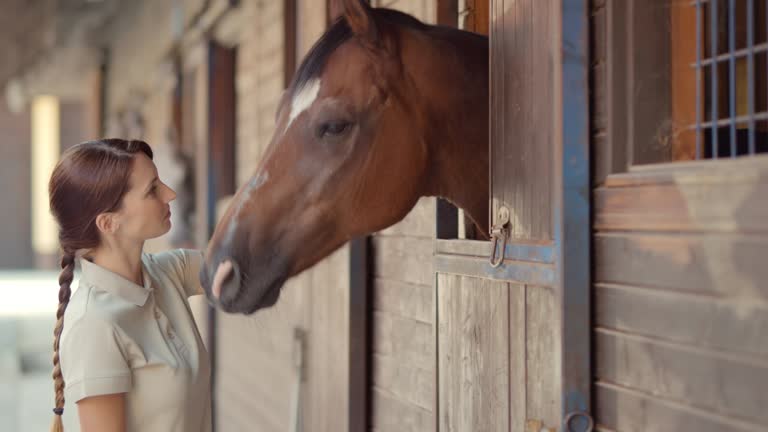 SLO MO DS Woman giving horse a treat to eat