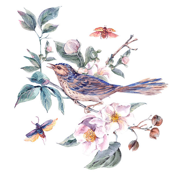 ilustrações, clipart, desenhos animados e ícones de cartão de saudação vintage com florescendo macieiras e pássaros - victorian style frame picture frame wreath