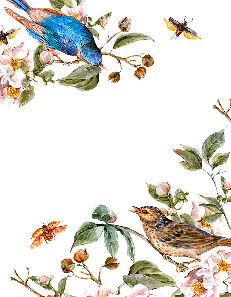 vintage-grußkarte mit blühenden apfel bäume und vögel - victorian style frame picture frame wreath stock-grafiken, -clipart, -cartoons und -symbole