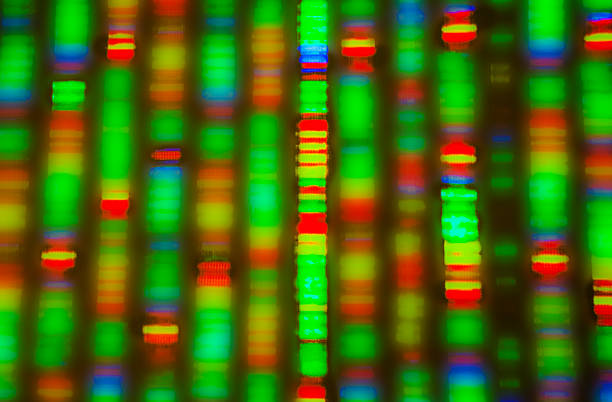 DNA sequence stock photo
