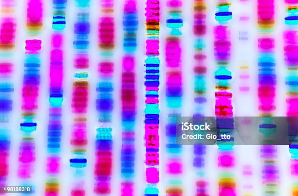 Dna Sequence Stock Photo - Download Image Now - DNA, Genomics, People