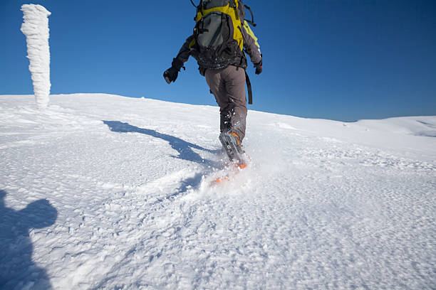 istock Snowshoeing in Carpathian mountains in wintertime 498188644