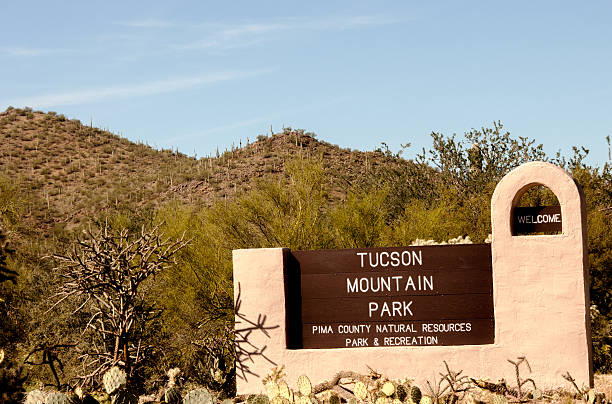 istock Tucson Mountain Park in Arizona 498189568
