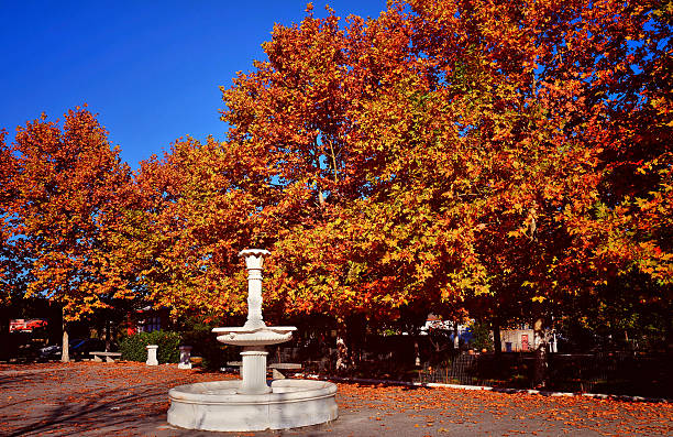 istock Autumn landscape in park with fountain, Greece 498191824