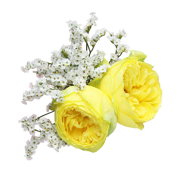 Dried flowers and plants painted in colors for decoration