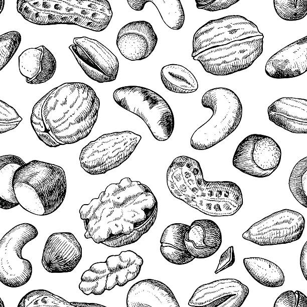 ベクトルシームレスな手描きナット付き模様 - nut walnut almond brazil nut点のイラスト素材／クリップアート素材／マンガ素材／アイコン素材