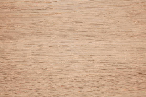 wood texture, oak stock photo