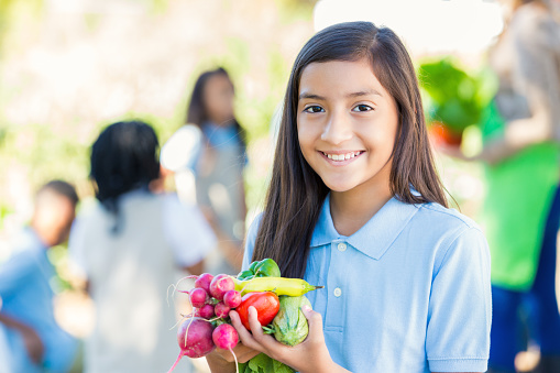 Hispanic elementary age little girl is smiling and looking at the camera. Students is holding a handful of fresh colorful vegetables she picked from garden during field trip at local farm. Child is wearing private school uniform. Classmates and teacher are learning about gardening in background.