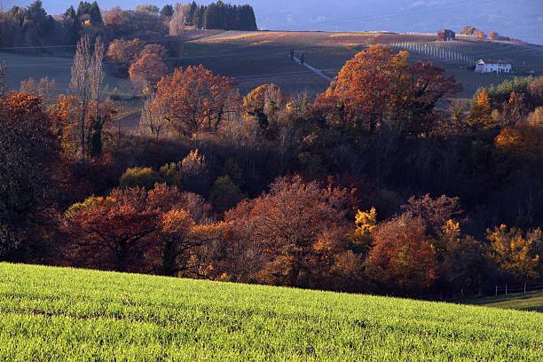 istock geneva - countryside around geneva  ( dardagny) 498196970