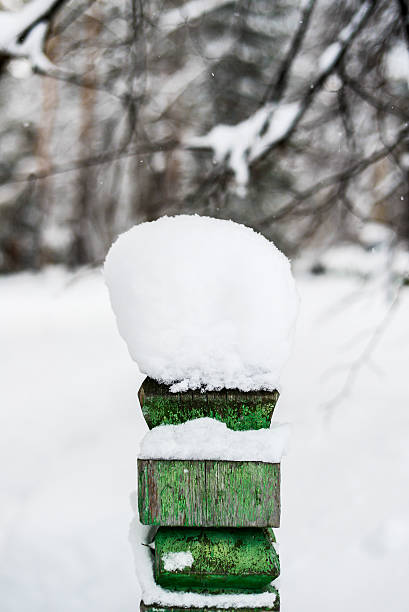 istock Snow Hat on the Fence in Winter Forest 498197120