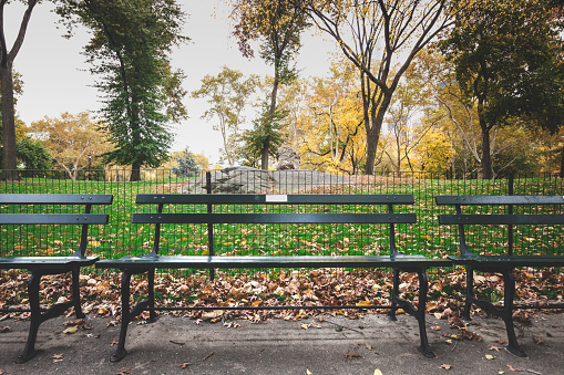 Empty park benches in Central Park, New York City, New York