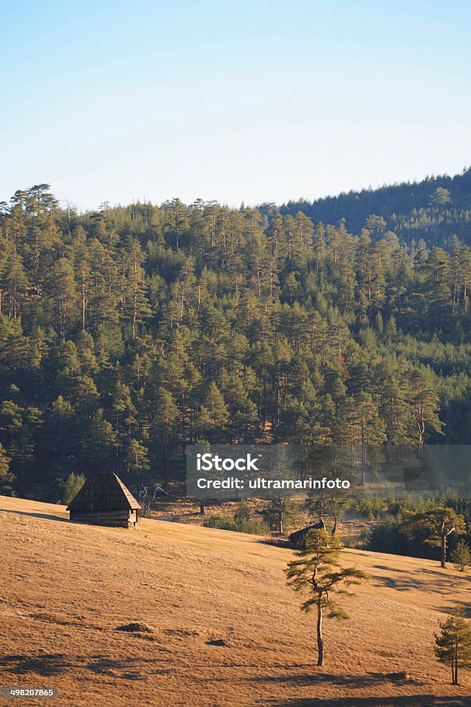 Beautiful mountain landscape Beauty in nature. Beautiful mountain landscape, nature background. Agricultural Field Stock Photo