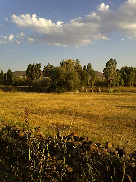 paysage - peotic photos et images de collection