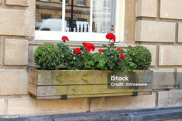 Wooden Window Box With Red Geranium Flowers And Buxus Balls Stock Photo - Download Image Now