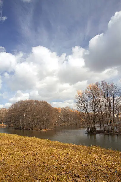 on the shore of a beautiful lake with trees