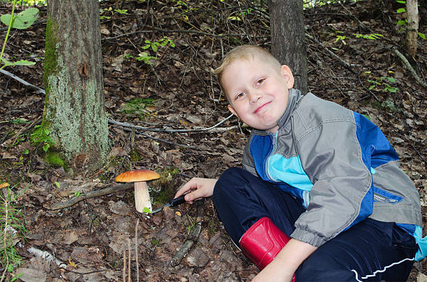 istock The happy boy who has found a mushroom 498213723