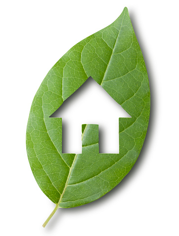 House shaped hole cut from leaf. Photo with clipping path.