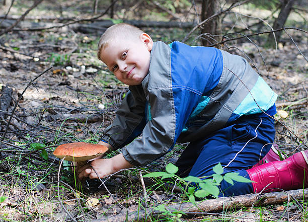 istock The happy boy who has found a mushroom 498214963